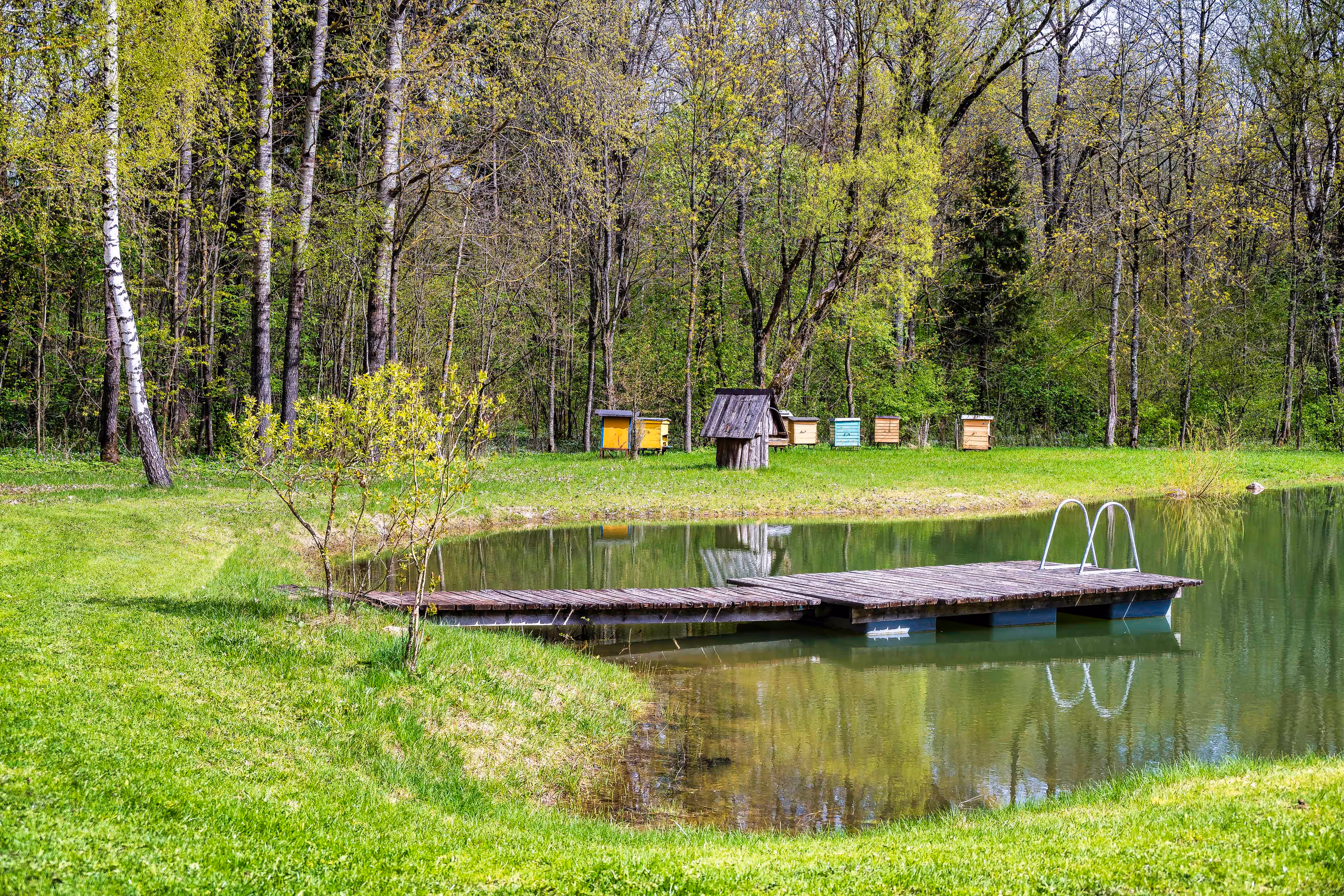 Vila Valentino private pond with wooden jetty, ladder into the water and colourful beehives on the far bank